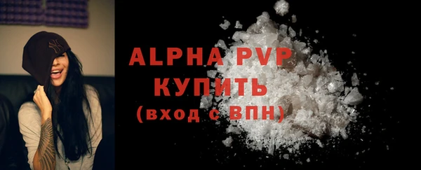 гашик Надым