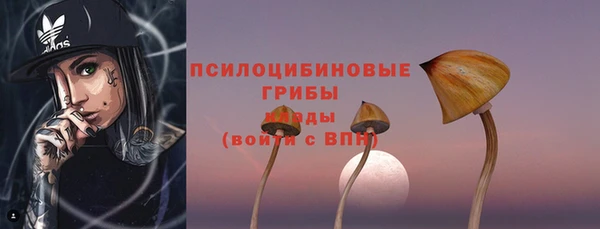 ешки Алексин