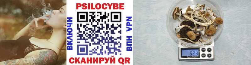 Псилоцибиновые грибы мицелий  Шлиссельбург 